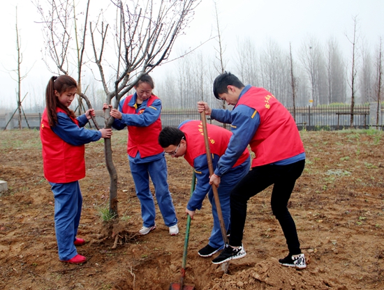 劳动•创造—志愿者社团开展植树活动